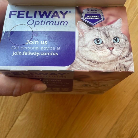 White Cat with Plush Fur and Striking Eyes - Picture 6 of 6